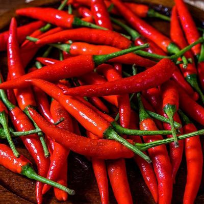 现摘特辣新鲜现摘红辣椒朝天椒当季蔬菜剁椒泡椒小米辣现摘现发