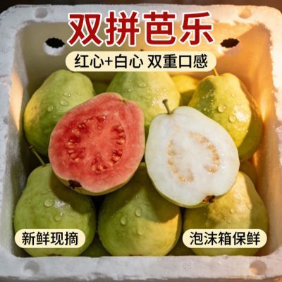 广西正宗新鲜冰淇淋芭乐奶油芭乐红白双拼番石榴脆甜鸡屎果批发