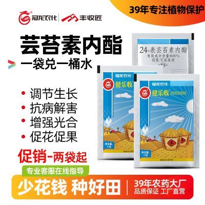高含量24表芸苔素内酯调节生长促花促果蔬菜果树小麦生长调节剂