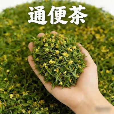 香港舒通茶】便秘排泄宿便莱菔子火麻仁枳实橘皮湿气养胃护胃茶叶
