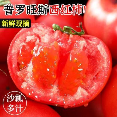 正宗普罗旺斯西红柿 净重4.5斤 单果100g+ 沙瓤多汁新鲜现摘