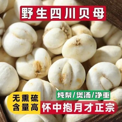 川贝正宗贝母四川批发无硫雪梨膏枇杷膏川贝母非松母特级正品清仓优惠商品图片