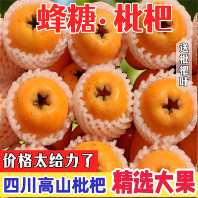 【现摘鲜果】四川正宗米易枇杷高山甜枇杷应季新鲜水果大五星枇杷