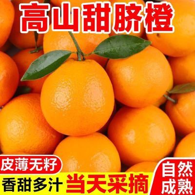 9斤纽荷尔脐橙新鲜橙子现摘正宗高山脐橙产地直发整箱批发