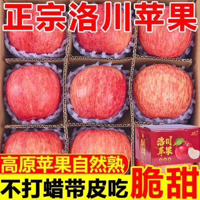 【彩箱】正宗陕西洛川苹果脆甜红富士当季新鲜苹果水果批发一整箱