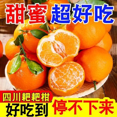 【爆甜好吃】正宗四川耙耙柑当季新鲜水果爆甜春见粑粑柑丑橘10斤