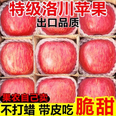 【洛川苹果】正宗陕西洛川红富士苹果脆甜新鲜苹果水果批发一整箱