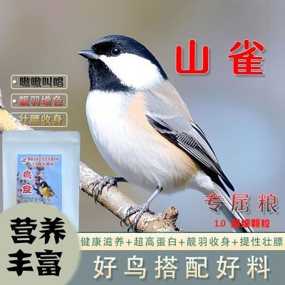 山雀红子贝子鸟高蛋白1.0超细膨化颗粒优质鸟食鸟粮饲料