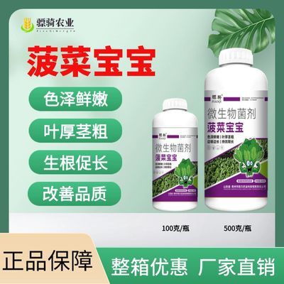 菠菜宝宝叶菜提苗壮根色泽鲜嫩叶厚茎粗增强口感防病抗旱增产肥