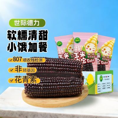 世际德力黑糯玉米宝宝非转基因真空独立装甜粘软糯代餐150g*10棒