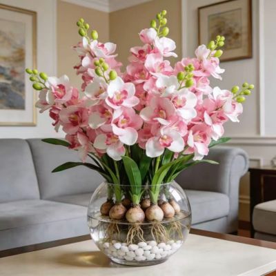 可水培耐寒耐热兰花盆栽多年生庭院四季易成活四季开花花卉植物