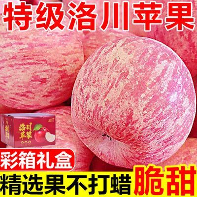 【彩箱礼盒】正宗洛川苹果脆甜陕西富士当季新鲜苹果水果整箱批发