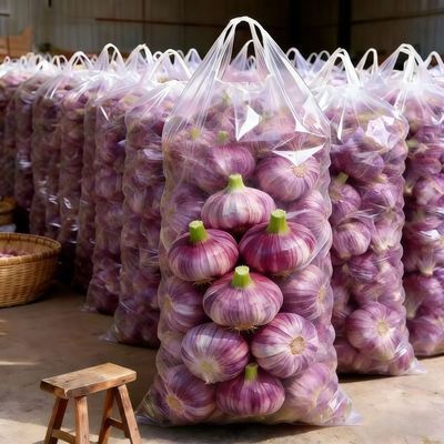 【超便宜】云南新鲜大蒜头现挖新蒜大蒜批发当季紫红皮糖醋湿蒜