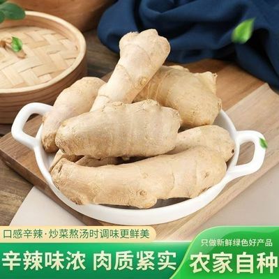 【精品山东大姜】生姜风干姜块正宗老姜黄姜新鲜无泥大姜月子批发