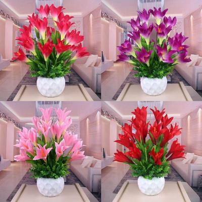 【春季上新】懒人新品清香玉球根花卉盆栽四季开花兰花卉大全耐寒