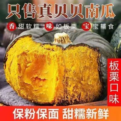 正宗贝贝南瓜板栗味老南瓜婴儿辅食老南瓜粉糯香甜新鲜蔬菜整箱
