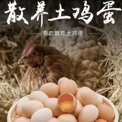新鲜正宗农家鸡蛋散养新鲜虫草五谷谷物喂养批发孕妇营养柴鸡蛋