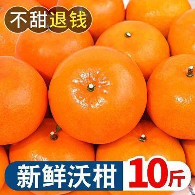 【正宗高山沃柑】沃柑批发价爆甜多汁新鲜橘子桔子非广西武鸣沃柑