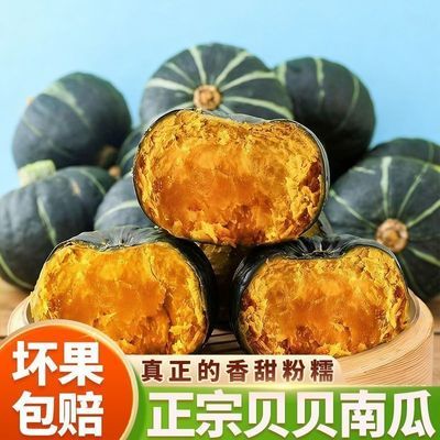 正宗贝贝南瓜板栗味甜糯香甜糯蔬菜宝宝辅食小南瓜老南瓜正品