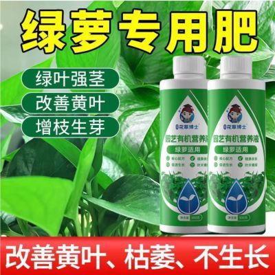 绿箩专用营养液家用室内植物通用型花肥水培绿萝盆栽液体营养液