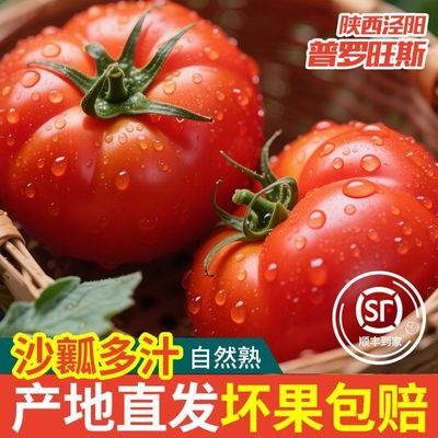 ���ڲ�������������������˹������������Ȼ��ɳȿ���������߲�4.5��˳�� 20.3Ԫ