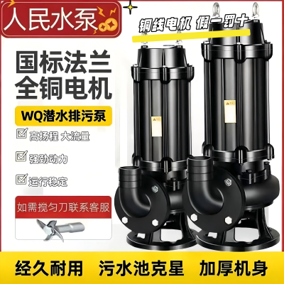 上海纯铜国标正品人民污水泵380V三相潜水排污泵单相220V家用泵