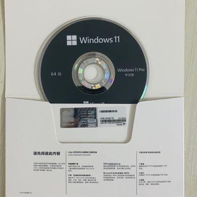 正版win1011专业版系统重装系统光盘电脑系统安装盘密钥