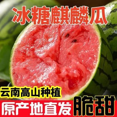云南麒麟西瓜薄皮正宗冰糖应季无籽有籽整箱当季现摘新鲜发货水果