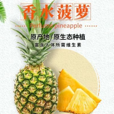 云南正宗香水菠萝凤梨新鲜现货应季水果大果中果产地直发脆甜多汁