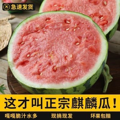 正宗麒麟西瓜薄皮超甜当季现应季冰糖8424新鲜水果