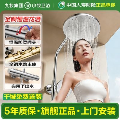 ���ڲ�������������С����ԡ���»�����װ������ԡ��ȫͭ������ѹ��ͷ3100 369Ԫ