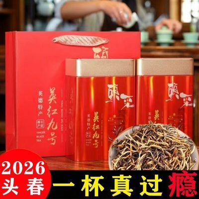 2026头春金毛毫正宗英红九号英德红茶1959浓香型罐装礼盒年货送礼