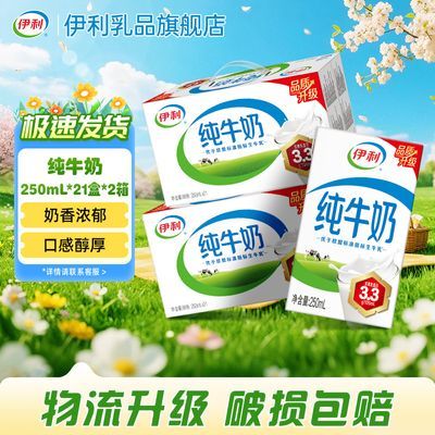 【2月1/2箱】伊利纯牛奶250ml*21盒【带提手】整箱批发学生营养