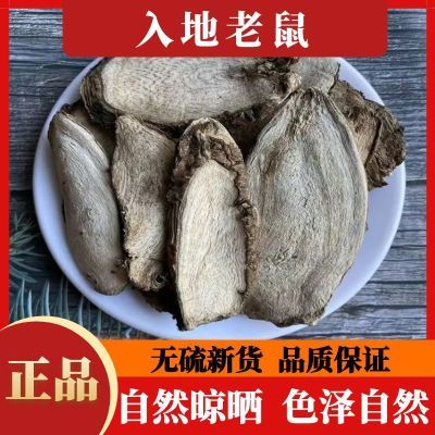 入地老鼠干货精选无硫正宗钻地老鼠根原生态自然晒干正品新货包邮优惠商品图片