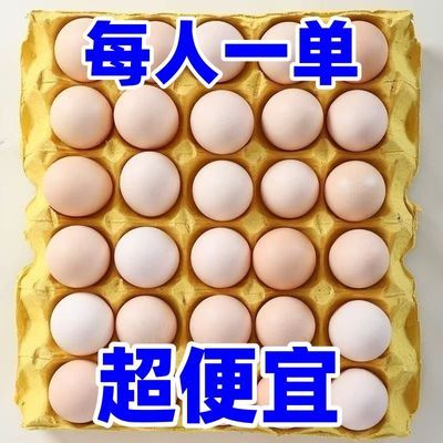 新鲜正宗农家鸡蛋散养新鲜虫草五谷谷物喂养批发孕妇营养柴鸡蛋