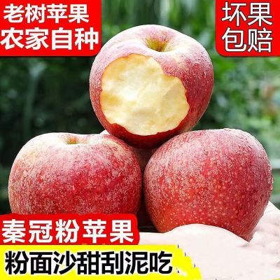 正宗陕西秦冠苹果5斤带箱 7.9元 - 线报酷