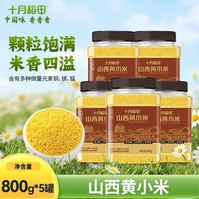 ʮ�µ��� ɽ����С�� 800g��װ�ܷ� С�׹��ͷ��� 79.3Ԫ