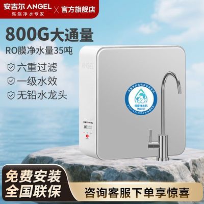 ���ڲ�������������ˮ��800G����ֱ����ˮRO����͸ħ��ϵ��һ��ˮЧ 1239Ԫ