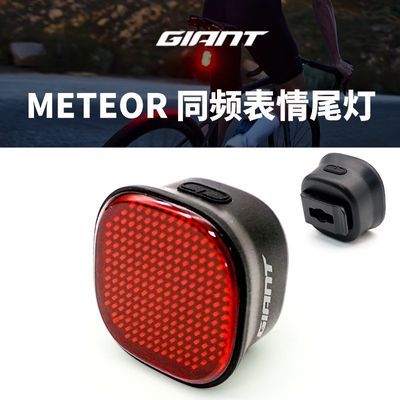 ���ڲ�����GIANT/�ݰ���METEORͬƵ����β��IP66��ˮ��·���г���ȫ��ʾβ�� 61.9Ԫ