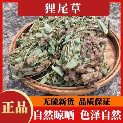 精选山货狸尾草羊咩香农家自晒无硫狐尾草高品质散装新货正品包邮优惠商品图片