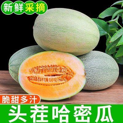 【贝亚芮优选】新鲜西州蜜瓜哈密瓜晓蜜25甜瓜脆甜多汁新鲜现摘