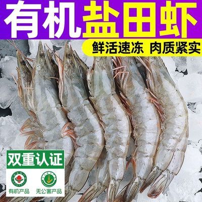 ���ڲ������������塿��Ȼ�л��޹�������Ϻ�ٶ���Ϻ������Ϻ�и���ͯ��Ϻ���� 33.49Ԫ