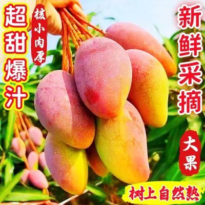 【彩箱海南直发】新鲜采摘贵妃芒大果超甜爆汁应季水果批发包邮