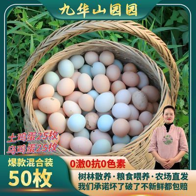 正宗农家散养土鸡蛋新鲜绿壳乌鸡蛋混合装儿童孕妇营养蛋整箱批发