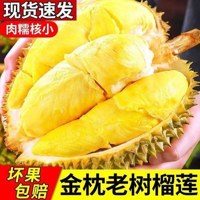 【当季榴莲】正宗进口金枕榴莲泰国老树饱满软糯整个巴掌尝鲜包邮