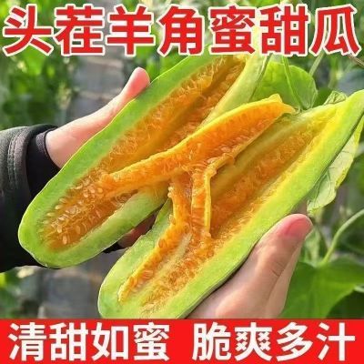 山东头茬羊角蜜甜瓜现摘正宗孕妇新鲜应季香瓜脆甜水果当季整箱