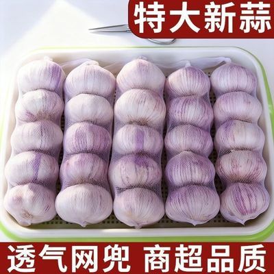 【网兜条装干蒜】2026年新干蒜紫皮大蒜头干蒜新干蒜净蒜足晒大蒜
