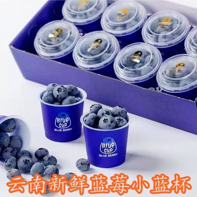云南蓝莓杯高山新鲜大果水果当季孕妇鲜果宝宝杯状优惠商品图片