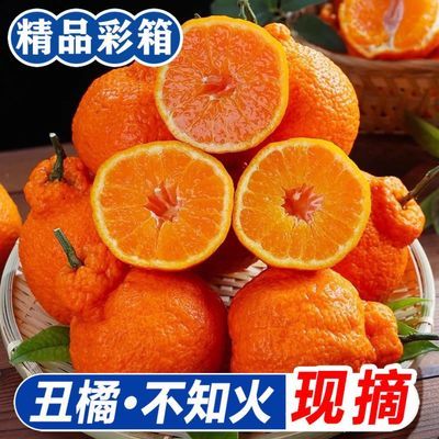 【彩箱】丑橘不知火四川当季新鲜水果丑八怪桔子净重4.5斤/8斤
