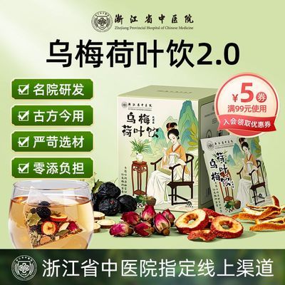 浙江省中医院乌梅汤2.0乌梅荷叶饮陈皮山楂养生茶
